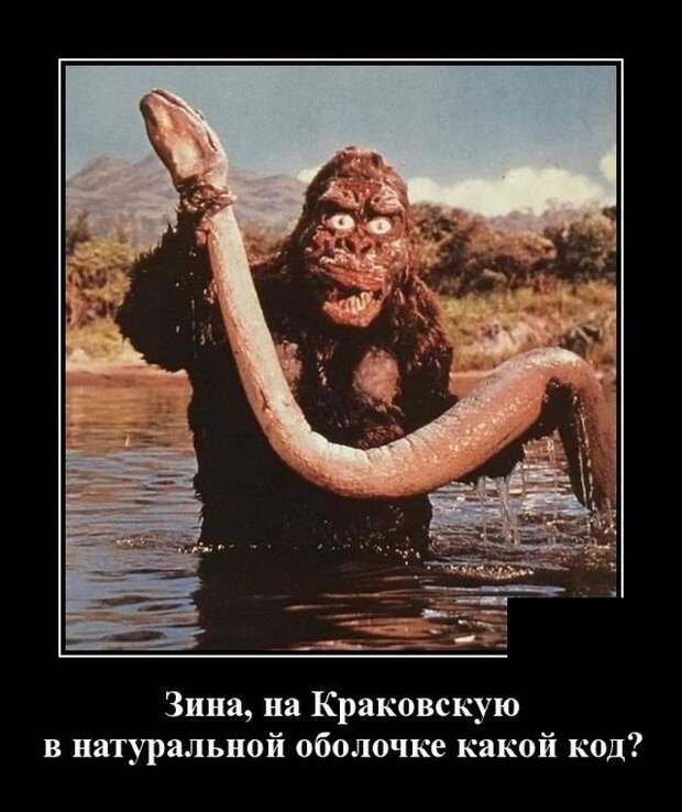 Демотиваторы (20 фото)