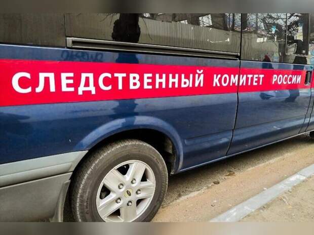 Бастрыкин затребовал доклад о проверке по школьнику, который повредил позвоночник в Чите