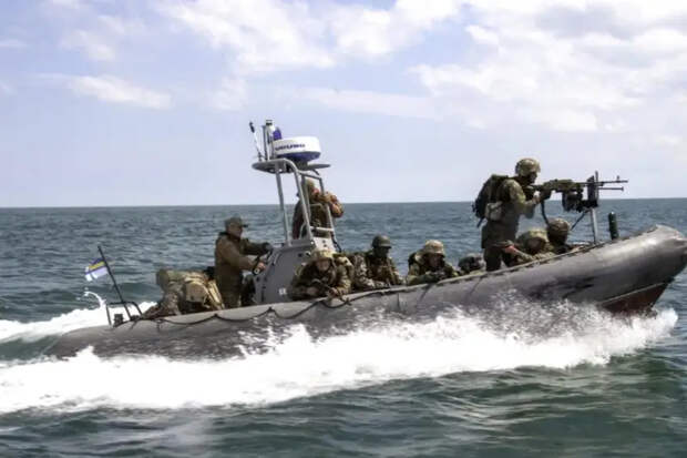 Командование ССО ВСУ подтвердило потерю бойцов элитного морского спецназа у Тендровской косы, его готовили британцы
