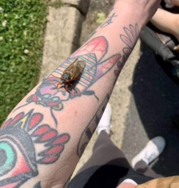 Неожиданные сходства и случайные совпадения на снимках