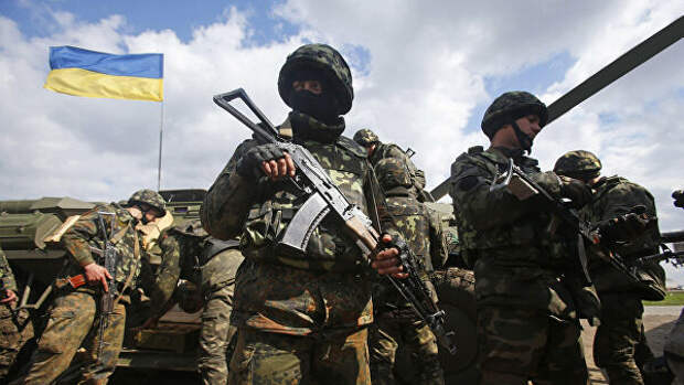 Украинские военные на линии разграничения в Донбассе Украинские военные на линии разграничения в Донбассе