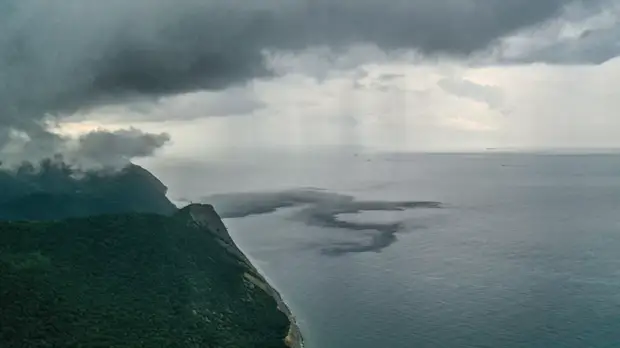 КТК не согласен с оценкой Росприроднадзора по ущербу от разлива нефти у Новороссийска