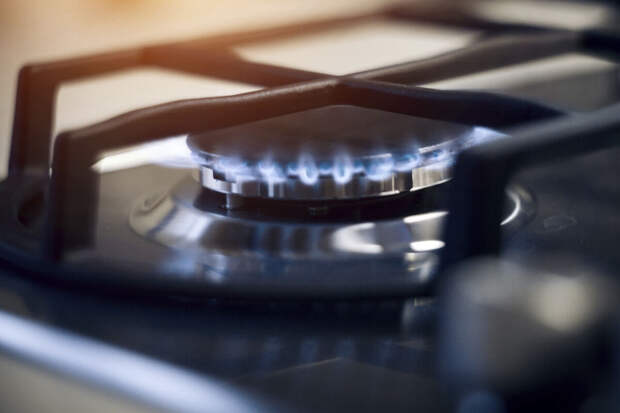 Депутат Панеш: заявку на субсидию для газификации дома одобряют за 5-10 дней