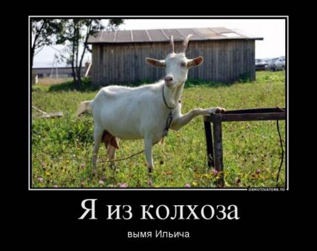 8 июня - День Козла, но празднуем с пятницы!