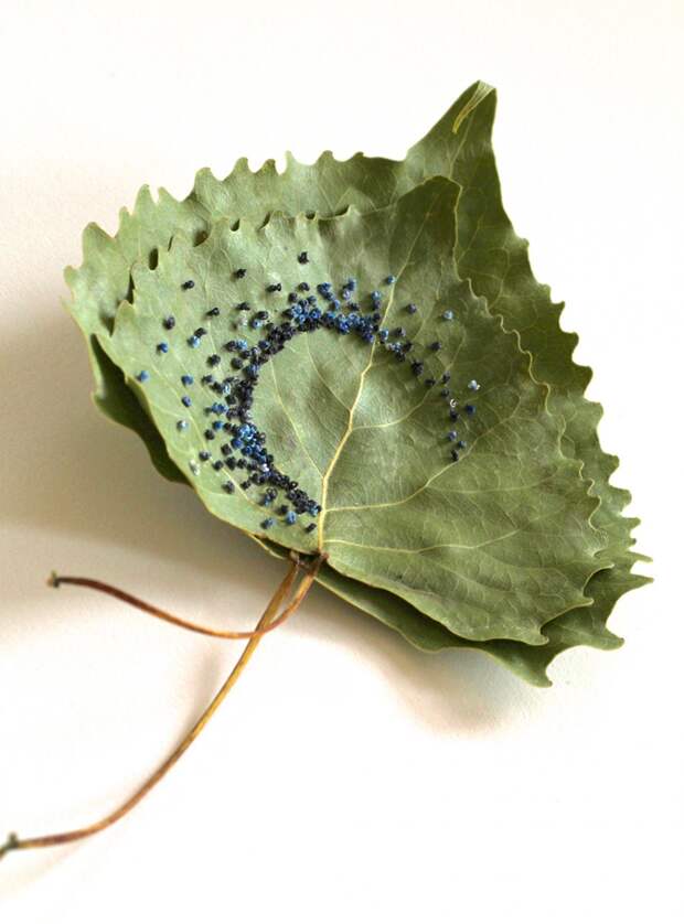 уникальная вышивка на листьях 