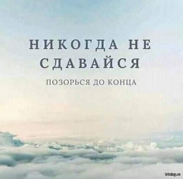 Подборка картинок (20 фото)