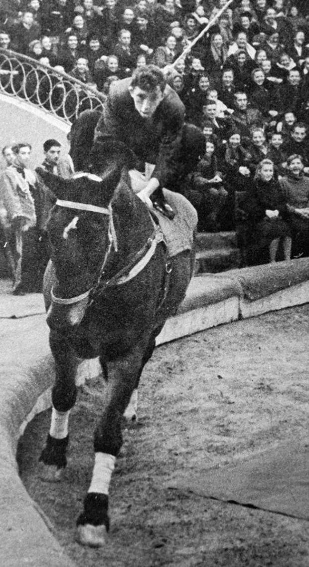 Молодой клоун Юрий Никулин изображает "человека из публики", который впервые сел на лошадь, 1947 год, Москва история, события, фото