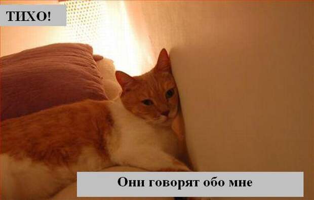 Мысли2 :) (50мыслей)