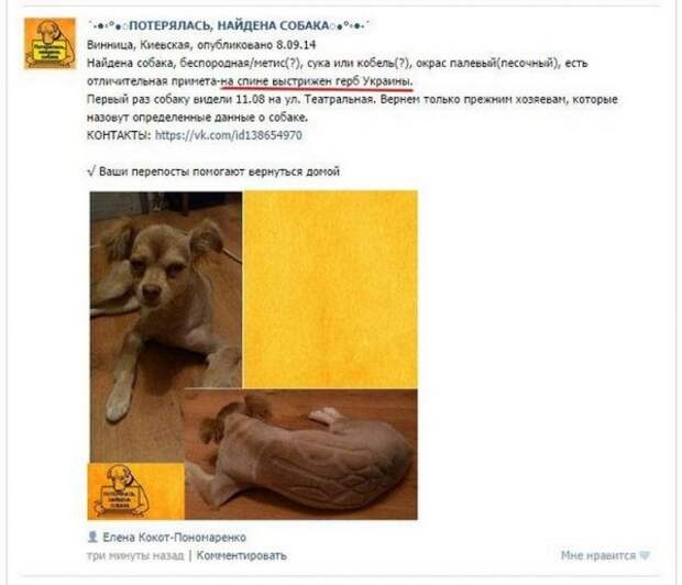 Позитивный пост+222