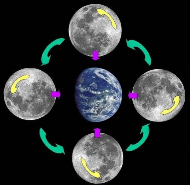 Как вращается Луна?