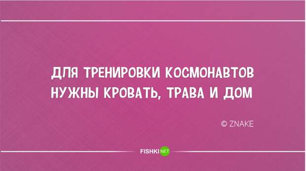Кратко, талантливо и остроумно. Новое из серии "стишки-пирожки" ирония, стишки-пирожки, юмор