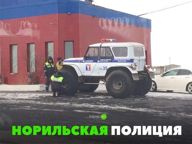 Подборка автомобильных приколов авто, автоприколы, приколы