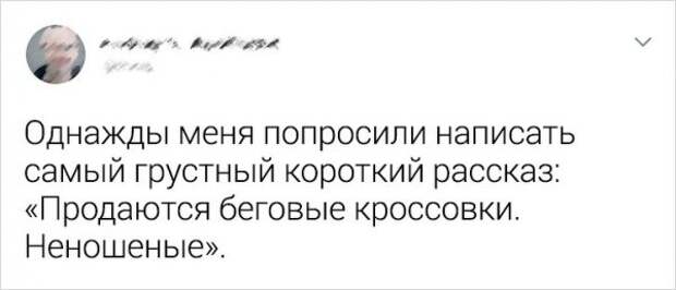 tvitov-zabavnyh-podborka-citaty-vkontakte-vkontakte-smeshnye-statusy