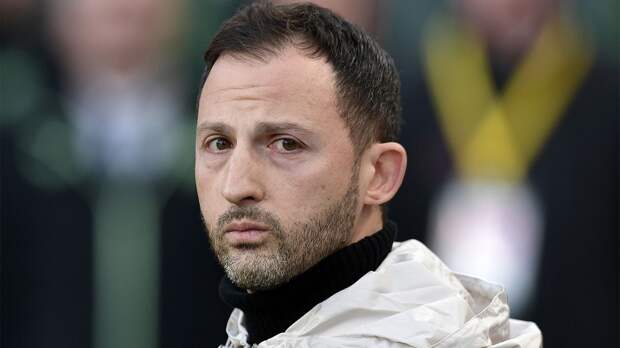 Тедеско отреагировал на вылет «Фенербахче» из Лиги Европы