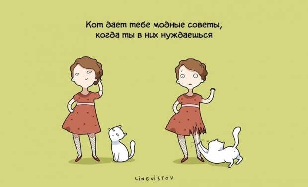 Преимущества жизни с котом