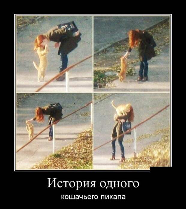 Демотиваторы (30 фото)