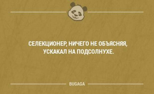 Смешные мысли и короткие анекдоты. Часть 69 (17 шт)