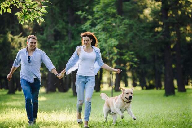 10 вещей, о которых нужно знать, если планируете встречаться с собаковладельцем Любовь, животные, ревность, собака