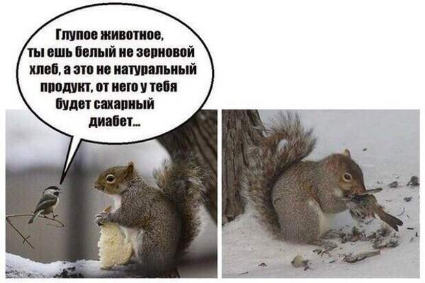YETCiiu1xDY