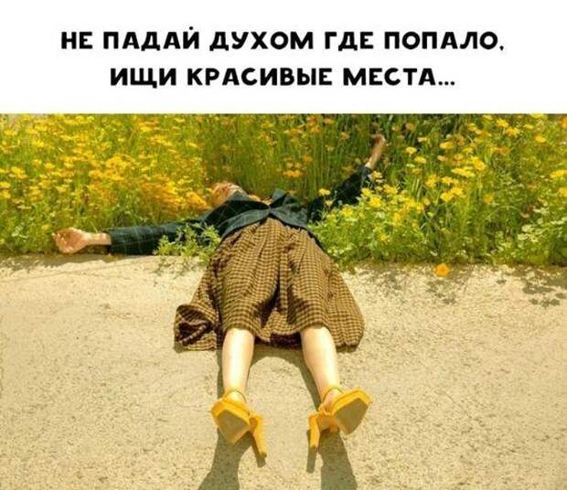 Новые мемы сегодняшнего дня