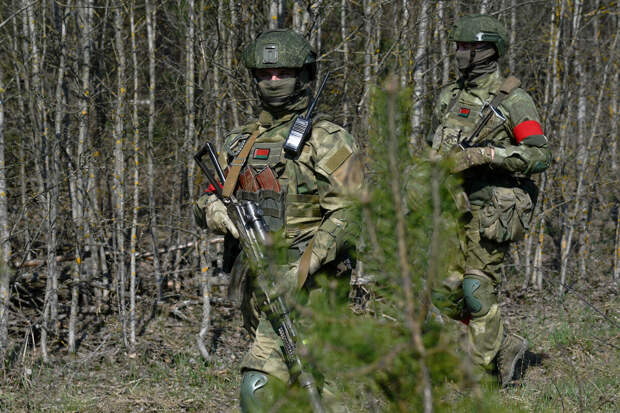 Экс-судья Шмидт: огласка планов о вторжении экстремистов в Белоруссию сорвала их