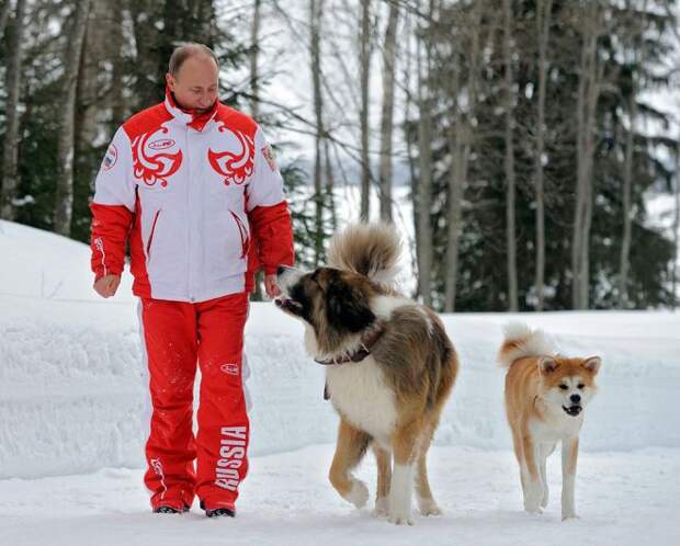 Путин, Баффи и Юмэ