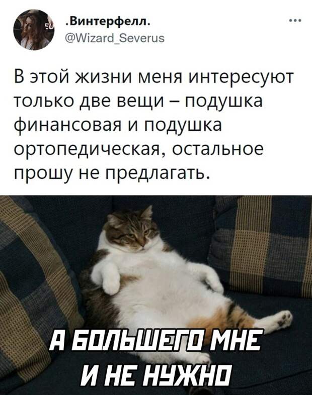 Смешные картинки 14 декабря 2021 года