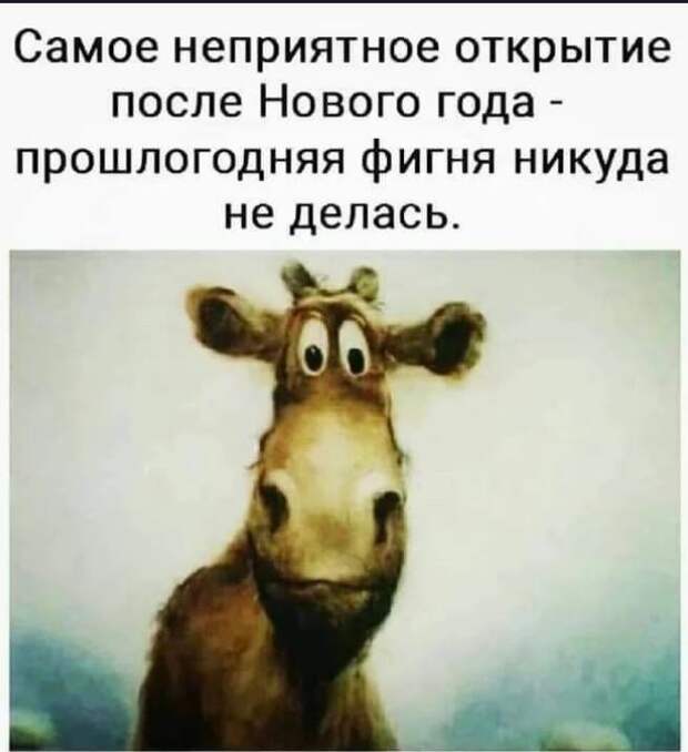 картинки прикольные смешные (24)