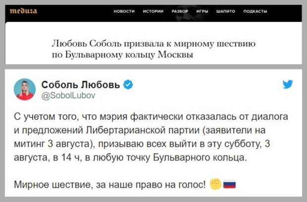 Вмешательством в выборы Запад пытается спровоцировать «цветную революцию» в России