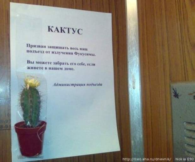 Смешные объявления