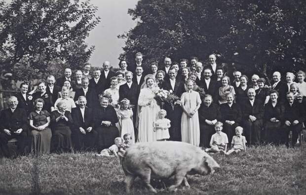 19. "На свадьбе бабушки в кадре пробежала свинья. 1927 год" 19. "На свадьбе бабушки в кадре пробежала свинья. 1927 год"