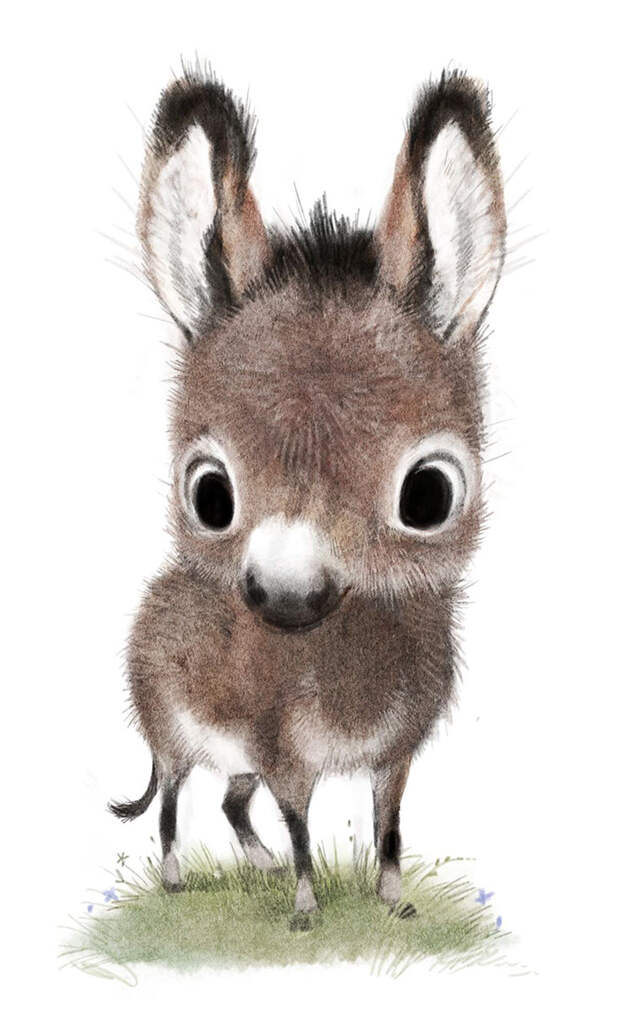 Cute Animal Illustration