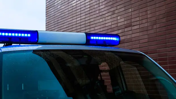 В Петербурге конфликт между собачниками закончился стрельбой