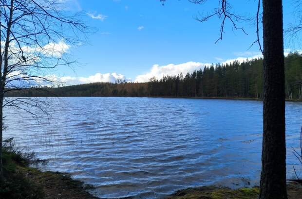 Названо самое чистое озеро Владимирской области