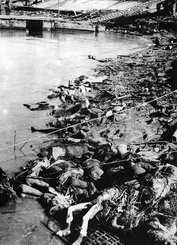 Геноцид китайского народа в 1937-1945 годах