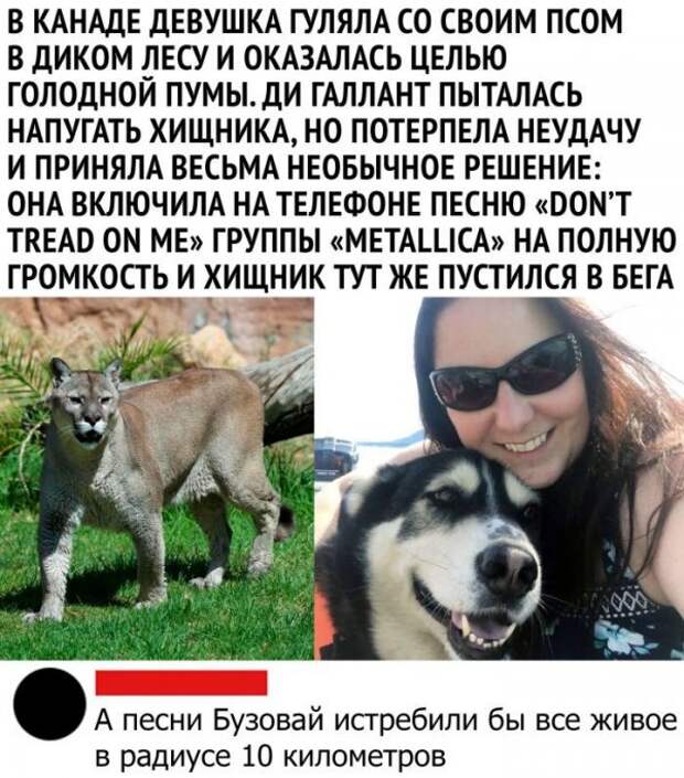 Смешные комментарии из социальных сетей
