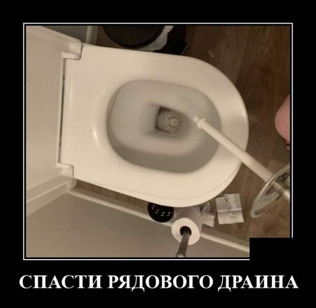 Демотиваторы (20 фото)