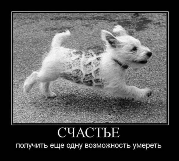 Демотиваторы про коронавирус с надписями. Подборка chert-poberi-dem-koronavirus-chert-poberi-dem-koronavirus-37540827092020-12 картинка chert-poberi-dem-koronavirus-37540827092020-12