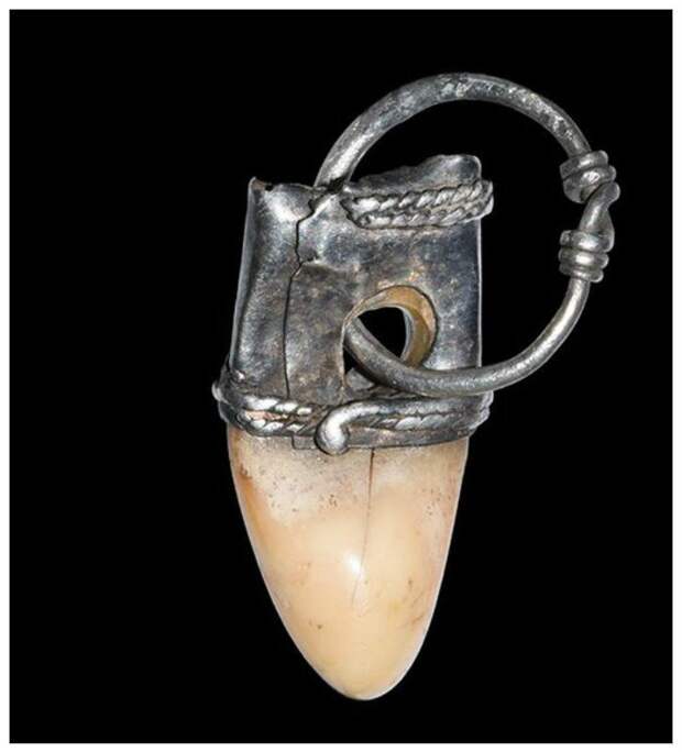 Кулон викингов из медвежьего зуба, 9-11 вв. н.э. викинги, жизнь, искусство, оружие, украшения, ювелирное искусство