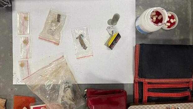 Таможенники в Домодедово изъяли наркотики у пассажира из Индии