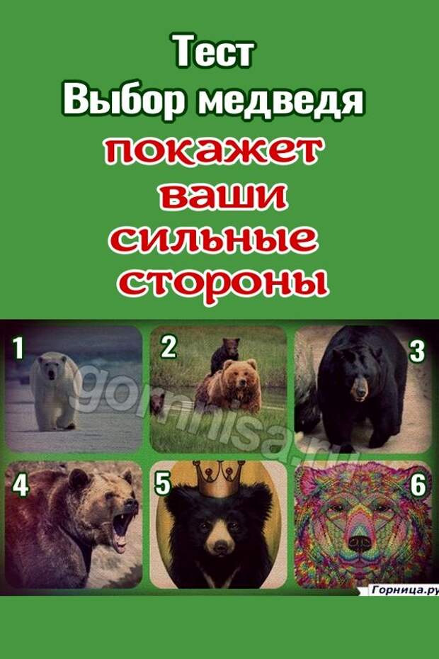 Выбери медведь. Психологические тесты по рисункам животных медведь лошадь. Психологический тест с животными. Выбери медведь. Согрей медведя 87 уровень игра.