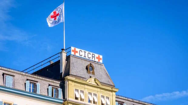 Международный Красный Крест приостановил членство Белоруссии