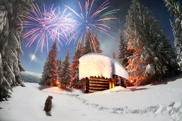 Большинство россиян арендуют на новогодние праздники апартаменты