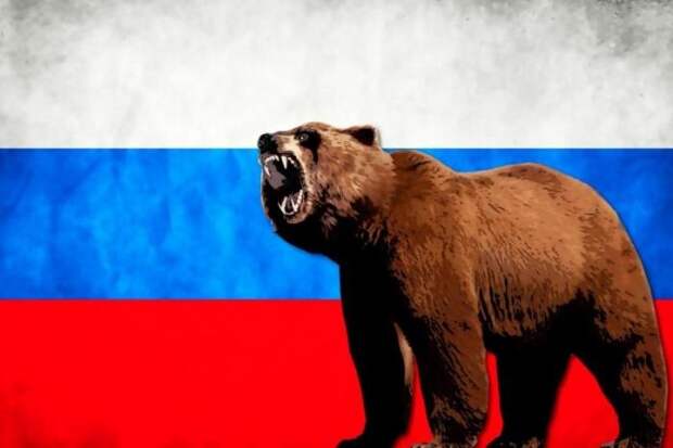 Почему одним из символов России является медведь (5 фото)