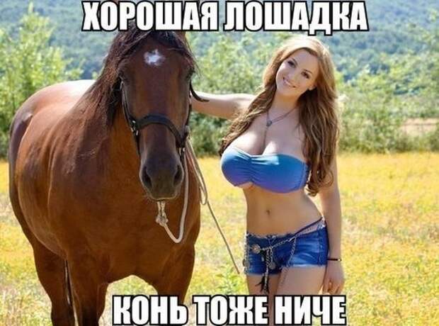 Смешные картинки из соц.сетей  картинки, комментарии, переписка, соц. сети, юмор