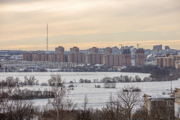 В Росреестре объяснили тулякам, как проверить границы участка в ЕГРН