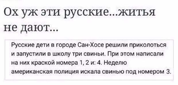 Смешные картинки с надписями для поднятия настроения (11 фото) Смешные картинки с надписями для поднятия настроения (11 фото)