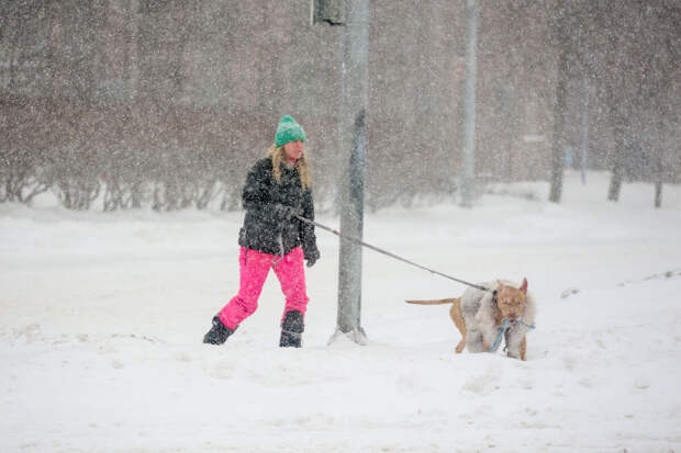 Пинаев: причиной сильного снегопада в Москве стало глобальное потепление