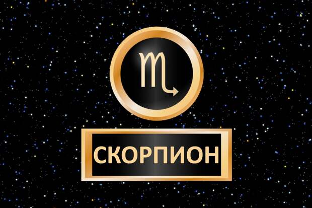 Год кролика 2023: что он приготовил для мужчин под знаком зодиака Скорпион