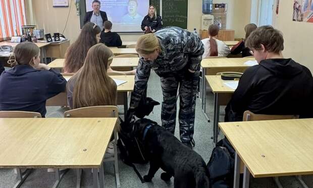Полицейские посетили школы Исакогорского и Цигломенского округов